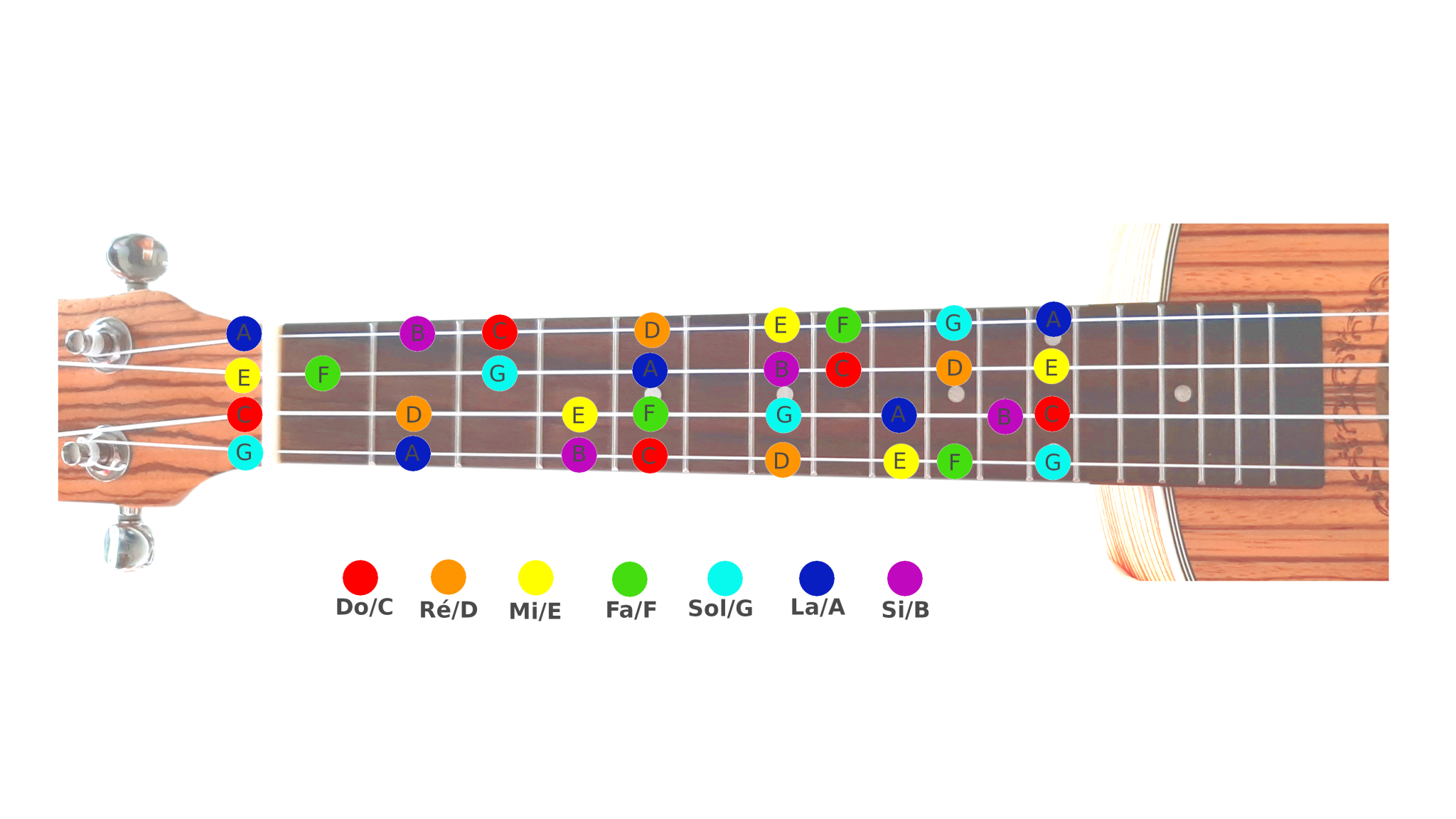 Comment accorder l’ukulélé à l’oreille ? Ukulélé Travel Comment accorder l’ukulélé à l’oreille ? Ukulélé Travel