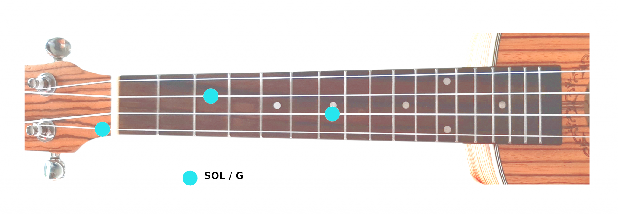 Comment accorder l’ukulélé à l’oreille ? Ukulélé Travel Comment accorder l’ukulélé à l’oreille ? Ukulélé Travel